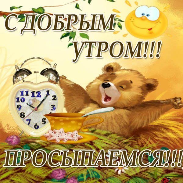 Пожелания доброго утра прикольные
