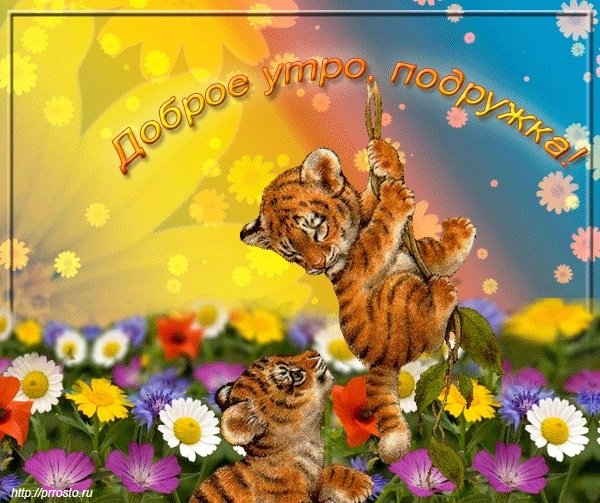 Пожелания с добрым утром подруге