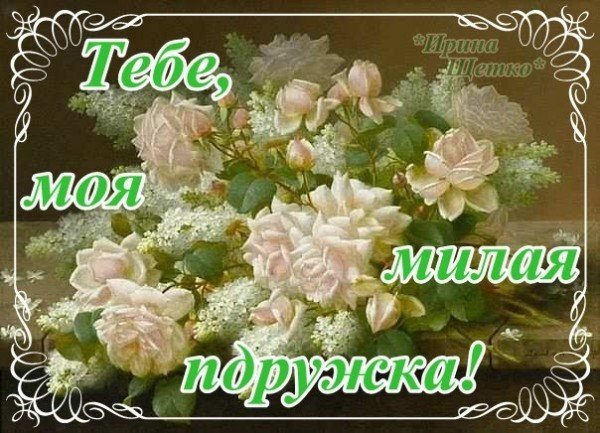 Красочное летнее утро