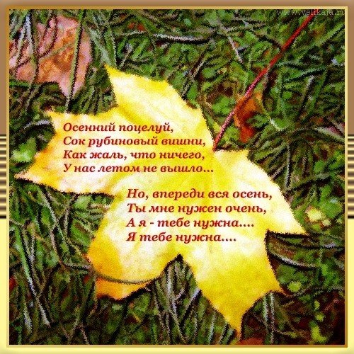 Осенний поцелуй после жаркого