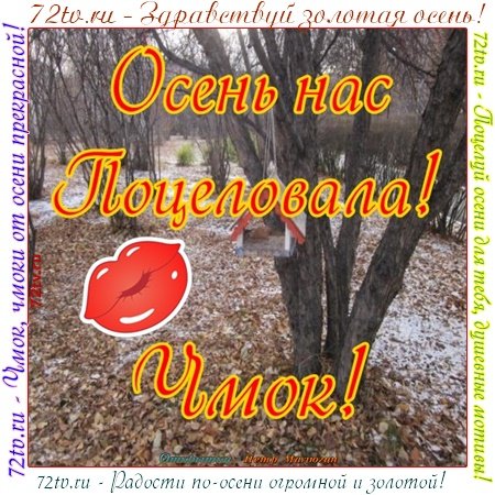 Открытка осенний поцелуй