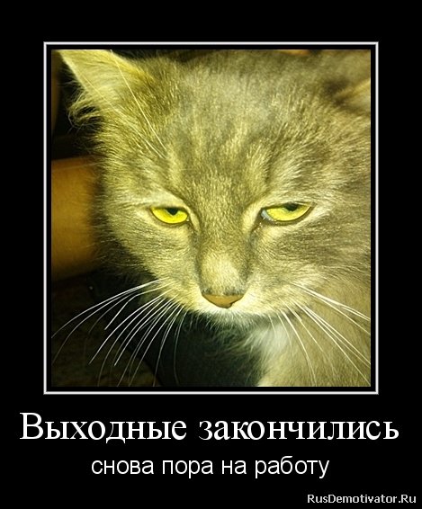 Выходные закончились