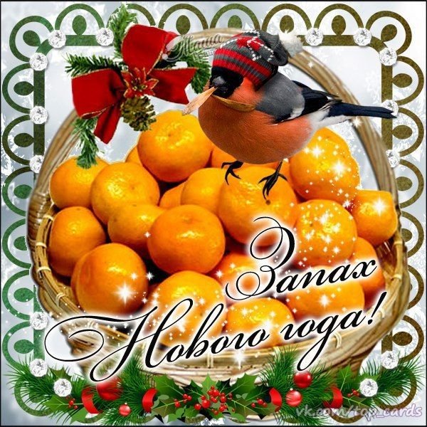 Мандариновое настроение надпись