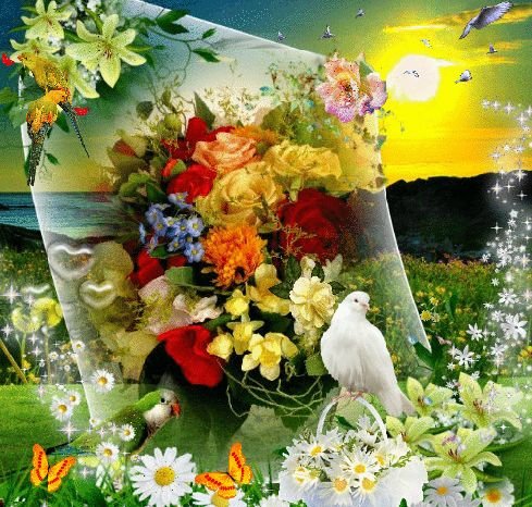 Радуга открыток красивые яркие добрые