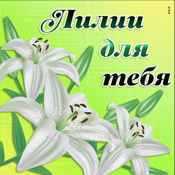 Лилии для лилии