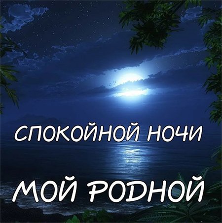Открытки спокойной ночи мужу