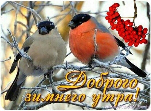 Чудесной зимней пятницы