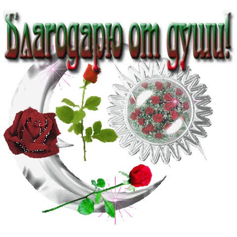 Большое спасибо на казахском языке