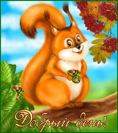 Открытки с белочкой