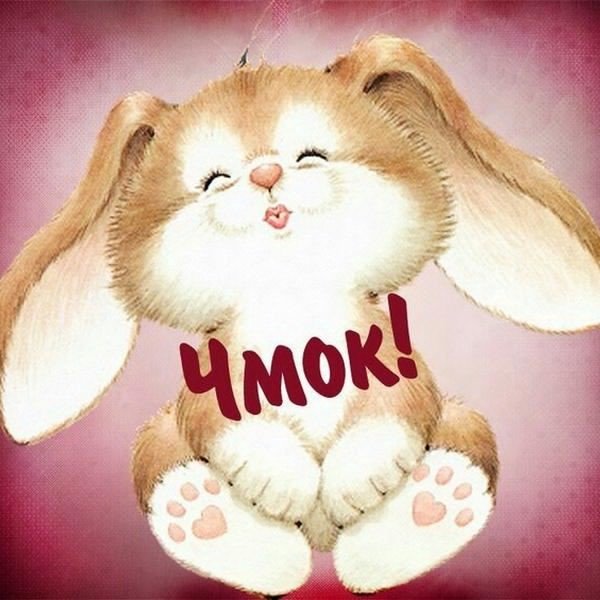 Любимый зайчик