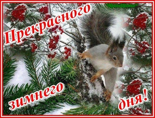 Доброго зимнего вторника