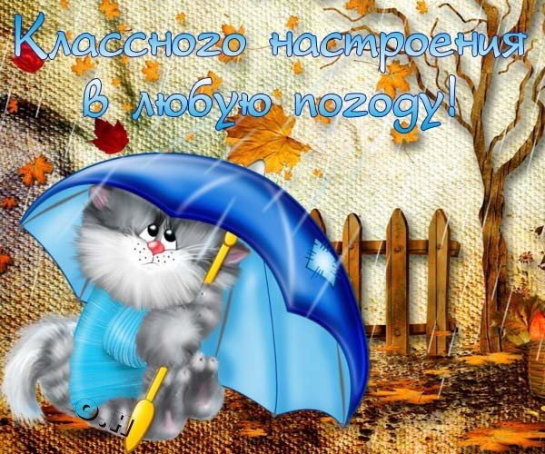 Хорогегонастроенич в оюбкю погоду