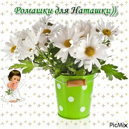 Букет ромашек для Наташи