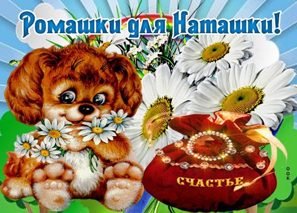 Ромашки для Наташки