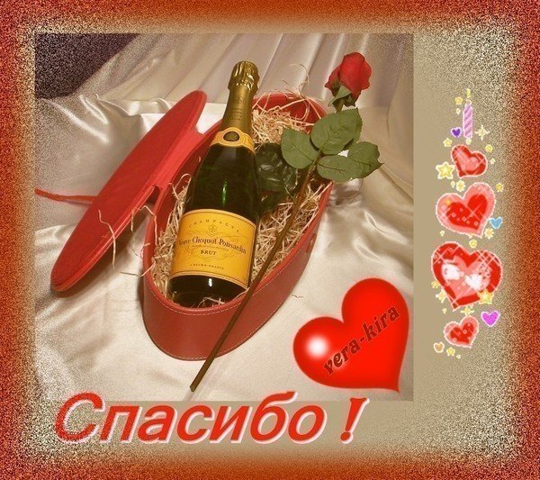 Спасибо мужчине