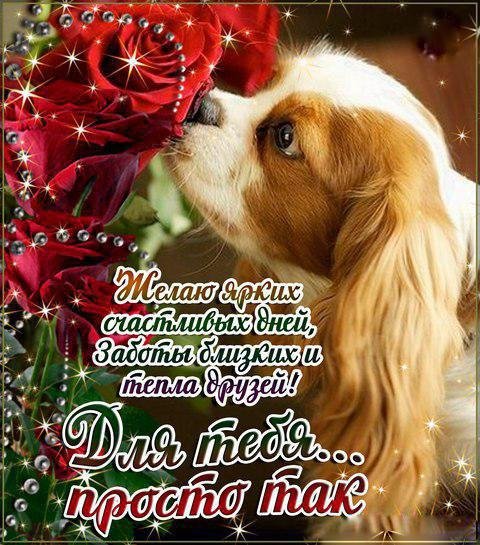 Поздравления просто так от души