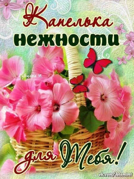 Добрые пожелания подруге