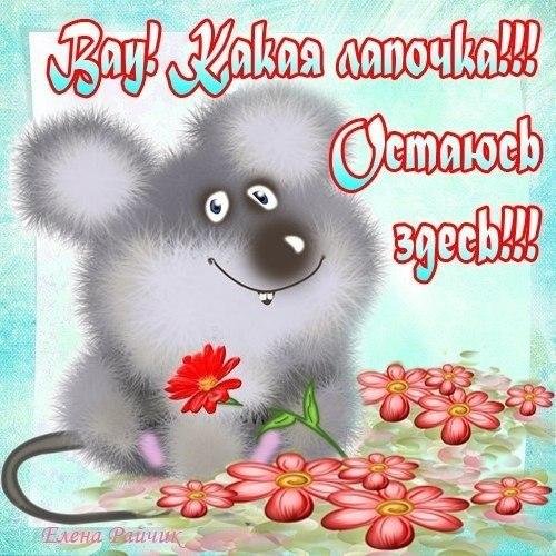 Прикольные открытки подруге просто так