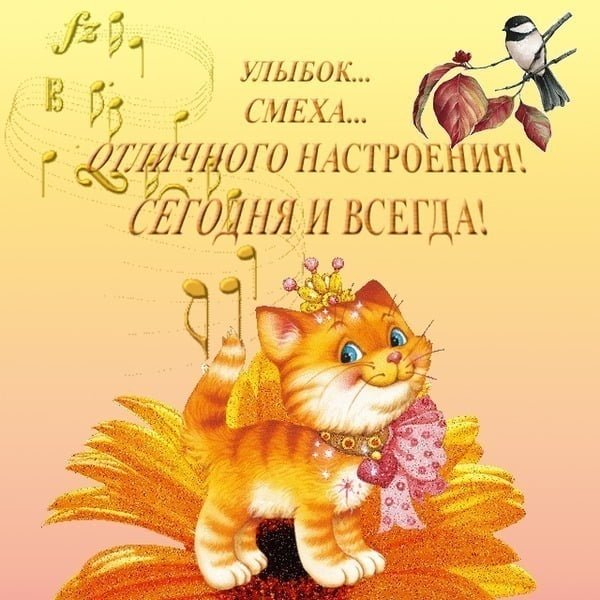 Веселые открытки для хорошего настроения