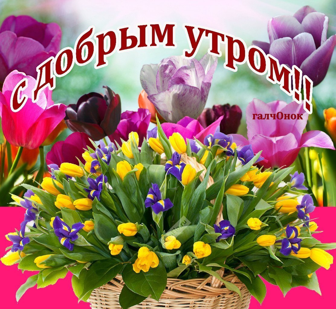 Весенние цветы и пожелания доброго дня