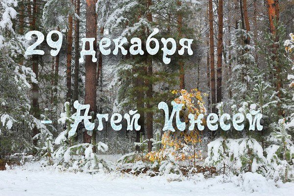 29 Декабря день