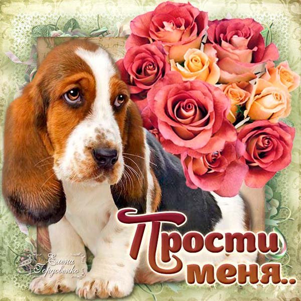 Открытка "прости"