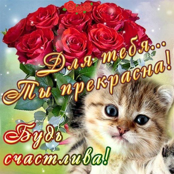 Красотка открытка