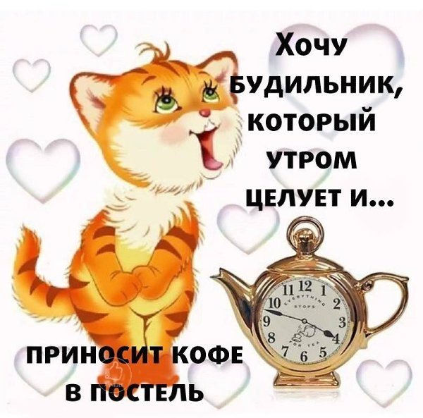 Проснулись с добрым утром