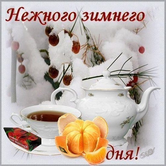 С добрым зимним утром и хорошим днём