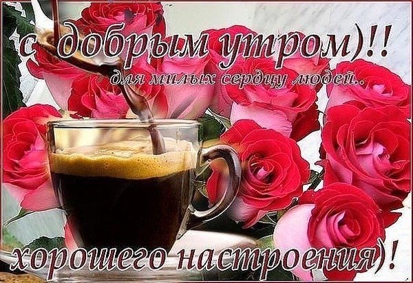 Доброе утро коллеги