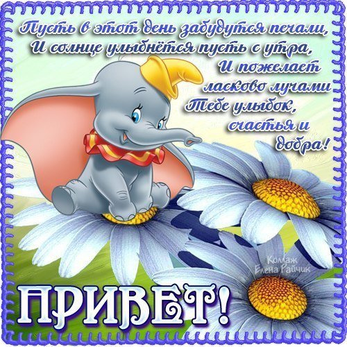 Доброе утро Елена