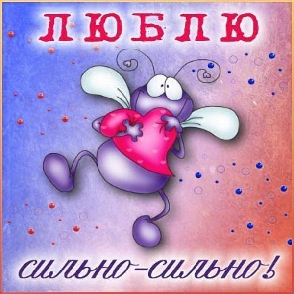 Прикольные открытки для любимого