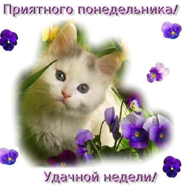 Открытки с началом новой недели