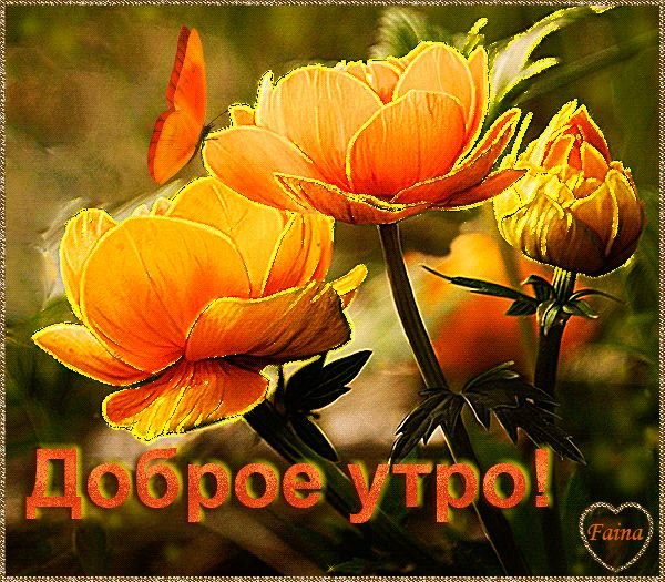 Открытки с добрым утром Наташа