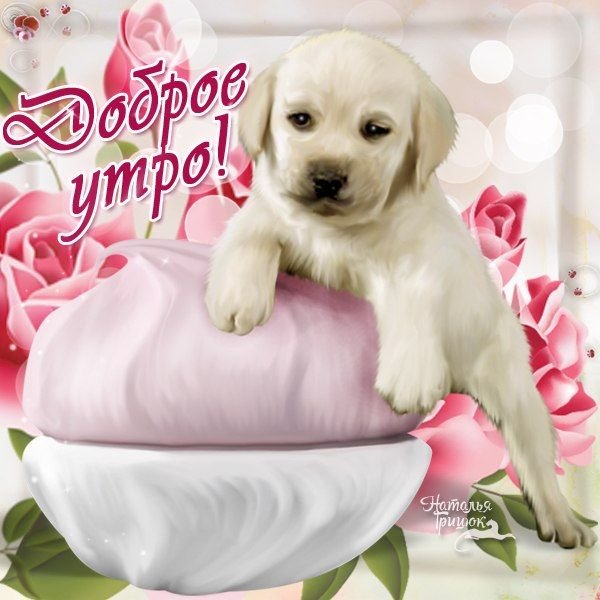 Доброе утро щеночки