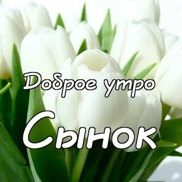 С добрым утром сынок