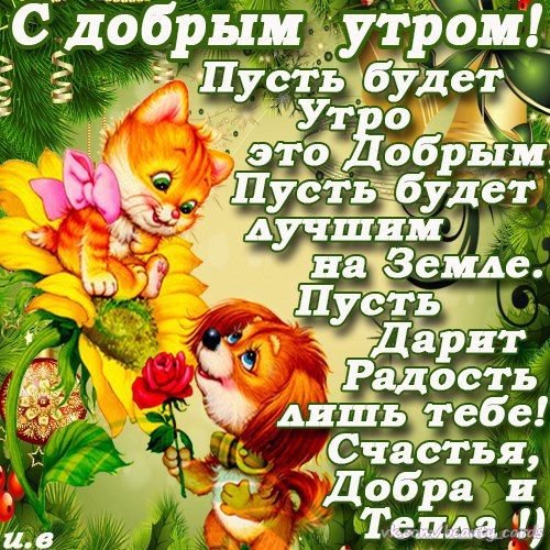 С добрым утром сын