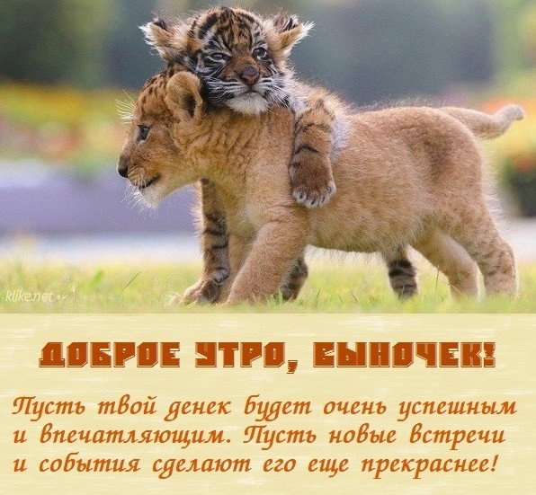 С добрым утром сын