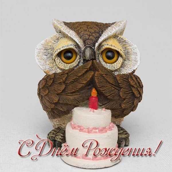 С днем рождения Сова