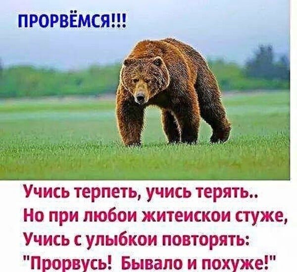 Прорвемся картинки смешные