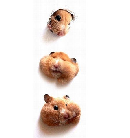 Открытка Прорвемся