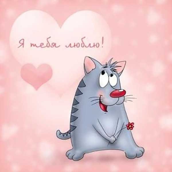 Прикольные открытки любимому