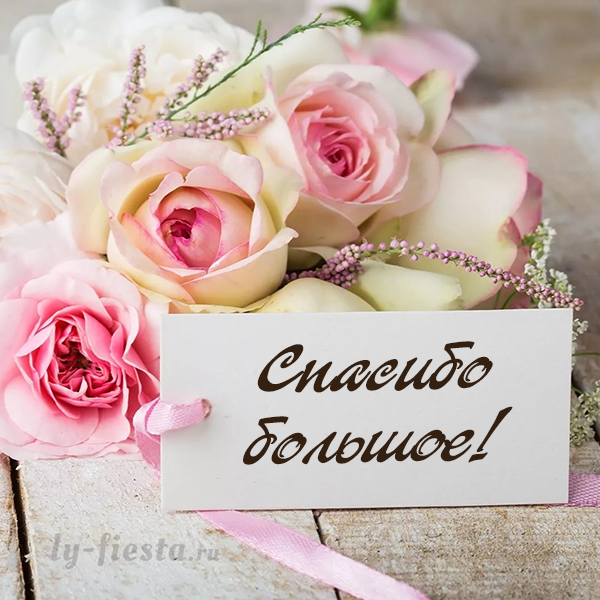 Оригинальное спасибо