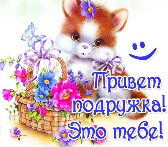 Открытки привет