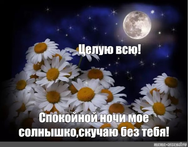 Доброй ночи солнышко