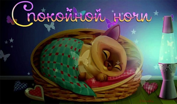 Спокойной ночи любимой женщине