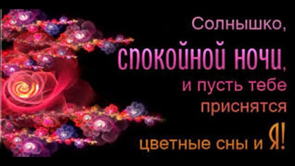 Спокойной ночи сладких снов любимая