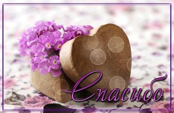 Сердечно благодарю