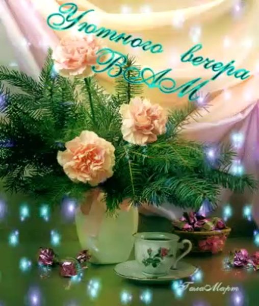 Доброгозтмнего вечерп