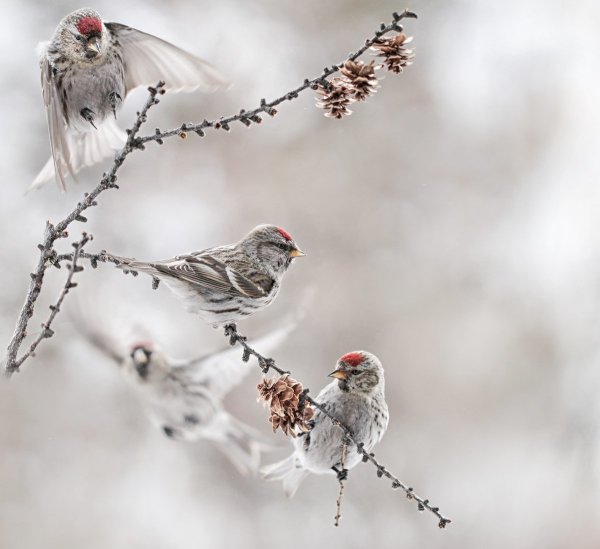 Доброго благословенного зимнего дня